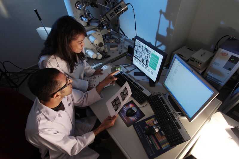 Two Scientists Looking At A Computer Screen