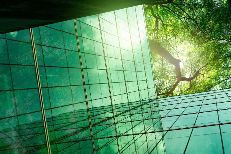 A Corporate Building Viewed From The Ground Showing Trees Towering Above It